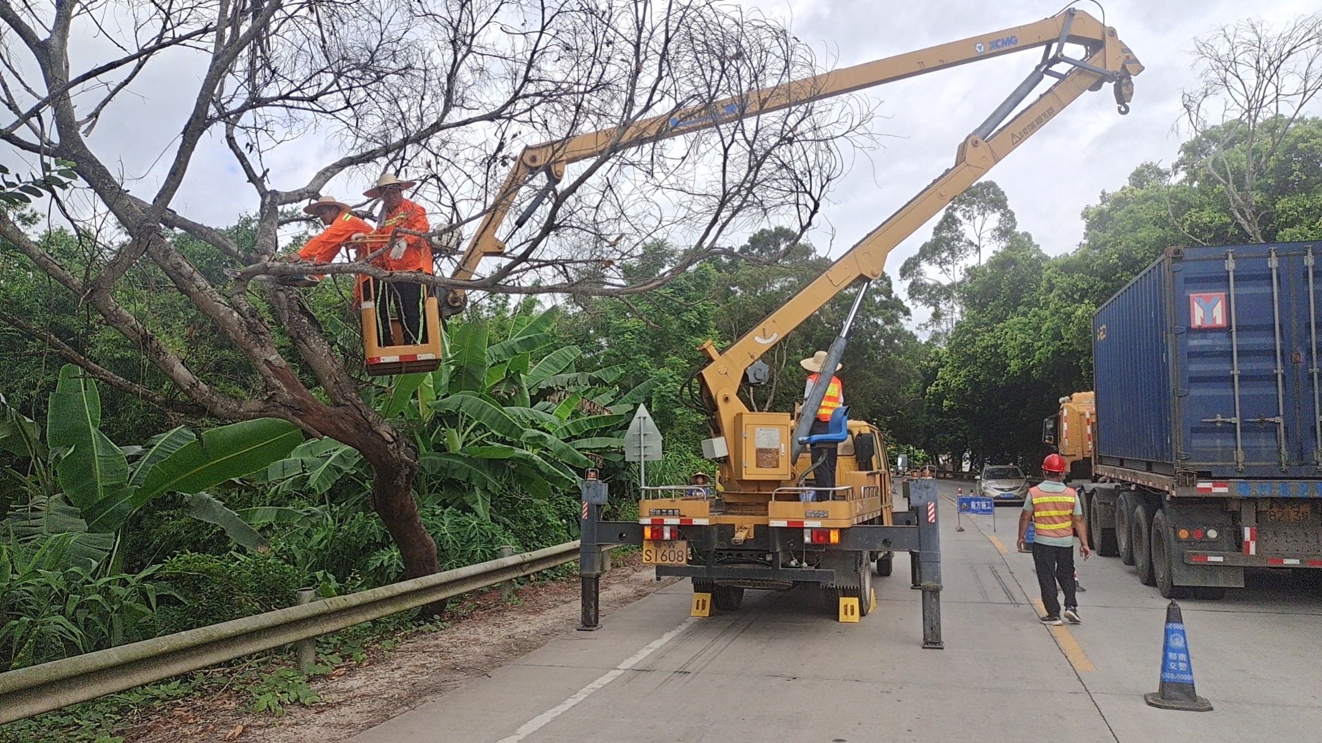 郁南縣公路事務(wù)中心未雨綢繆防臺(tái)風(fēng)清理危樹除隱患（新）(1)（副本）.doc_1