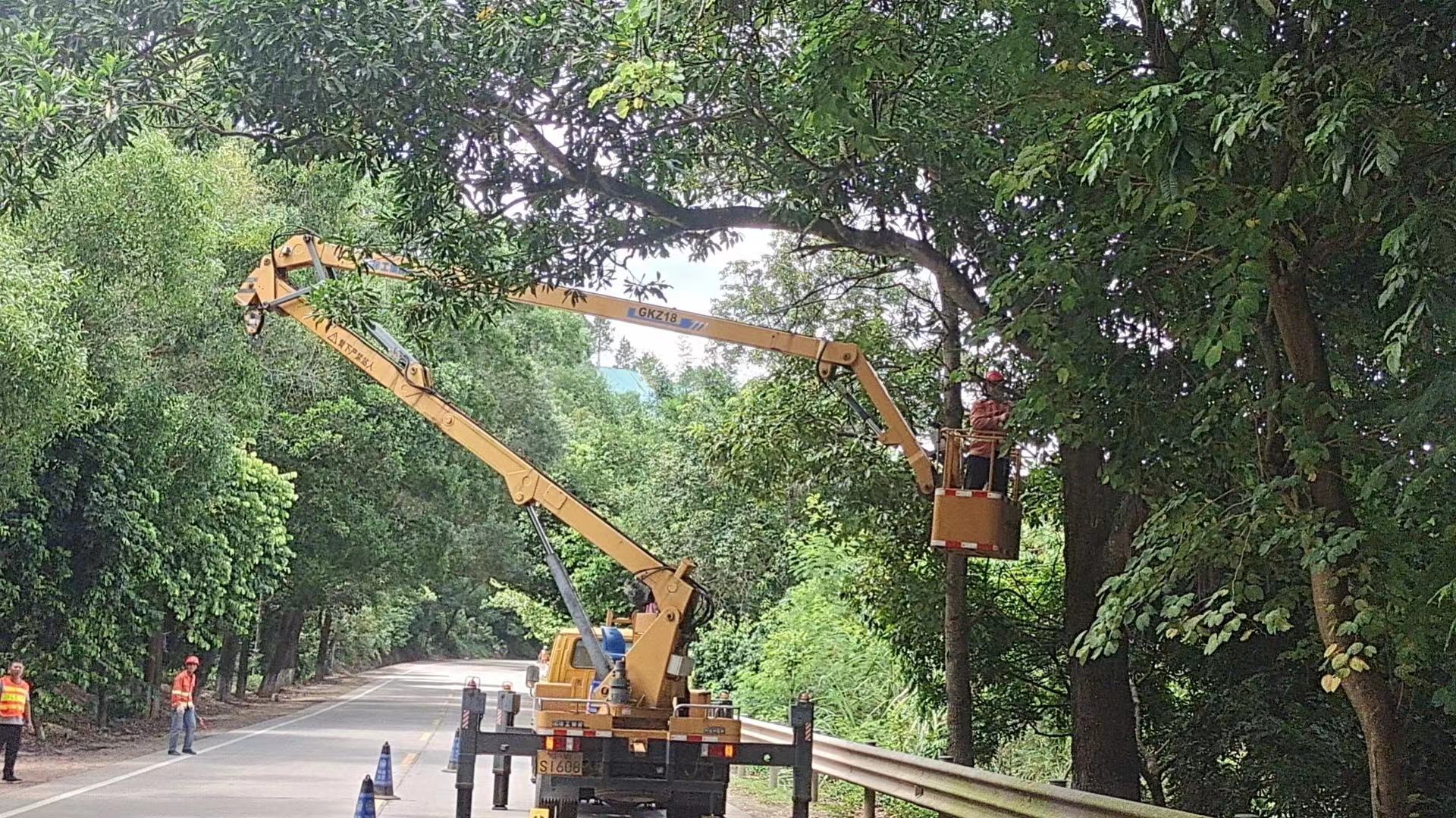 郁南縣公路事務(wù)中心未雨綢繆防臺(tái)風(fēng)清理危樹除隱患（新）(1)（副本）.doc_2